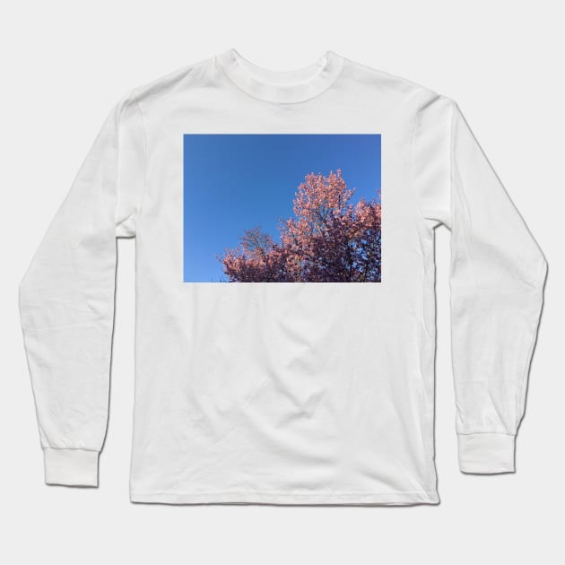 Cherry Blossom Sky Long Sleeve T-Shirt by BigPapaJ